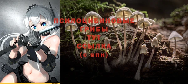 стафф Тихвин