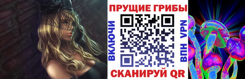 даркнет какой сайт Цоци-Юрт Псилоцибиновые грибы прущие грибы купить наркотики сайты